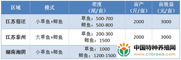 草鱼+鲫鱼混养模式，亩利润超5000元