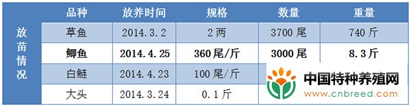 草鱼+鲫鱼混养模式，亩利润超5000元(3)