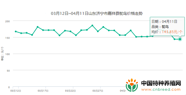 2019年4月11日山东济宁地区鸵鸟价格行情、走势