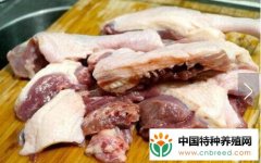 食用鸭肉的功效与作用有哪些不能和什么同吃？