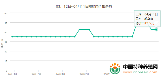 2019年4月11日全国各地鸵鸟肉价格