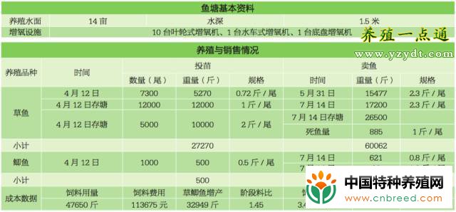 14亩草鱼塘配12台增氧机！鱼塘精细化管理最重要