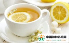 柠檬水加蜂蜜美白效果怎么样？