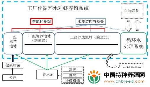 对虾封闭式工厂化循环水养殖技术有多少人知道？