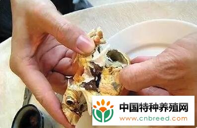 大闸蟹究竟怎么吃才正确（图解）？