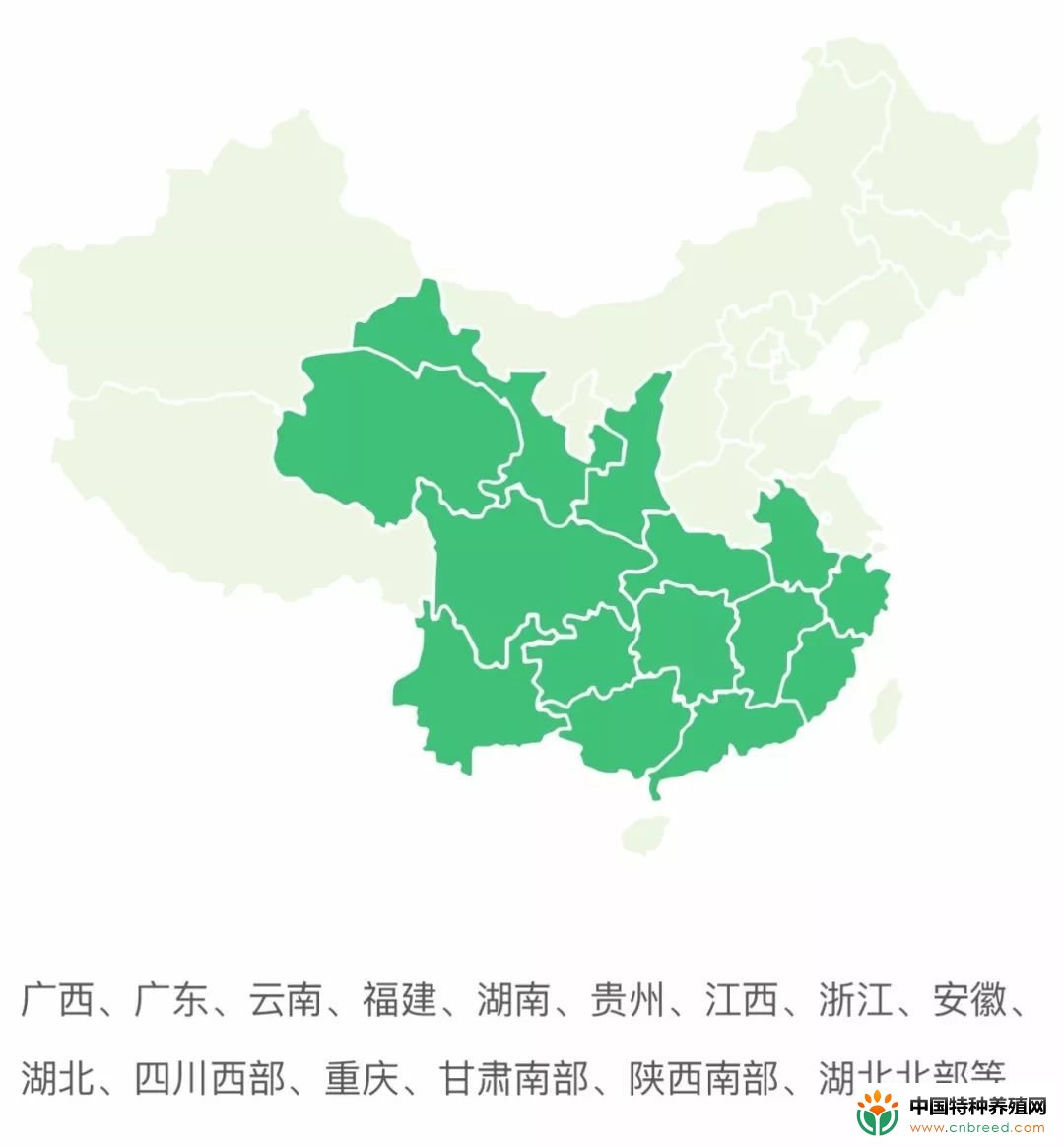 竹鼠的养殖收益、成本，市场前景分析(2)