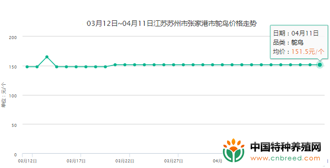 2019年4月11日江苏苏州地区鸵鸟价格行情、走势