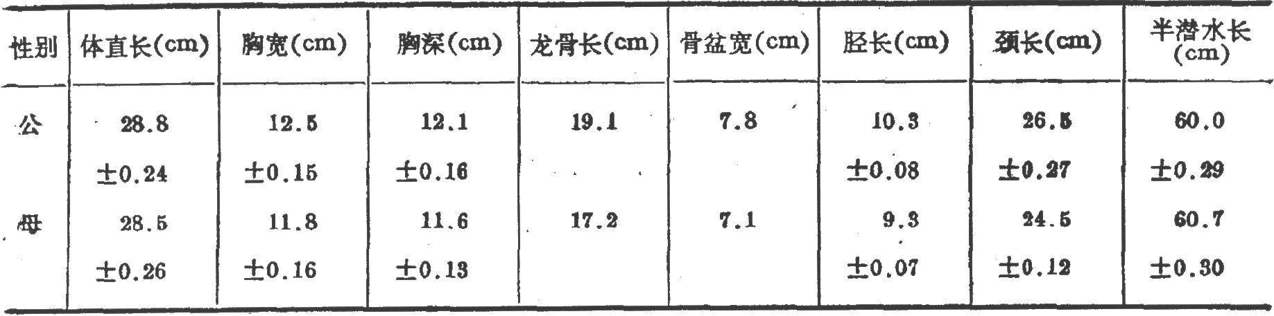 表1    成年鹅的体尺