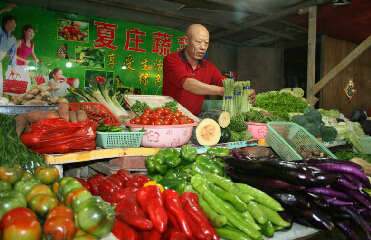 山东青岛秋菜增产 菜价一路走低