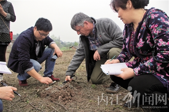 让无花果变成“致富果”——洋教授来到威远田间地头