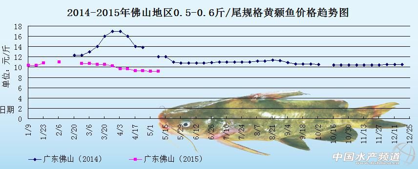 黄颡鱼价格周报：市场供大于求 鱼价纷纷下滑