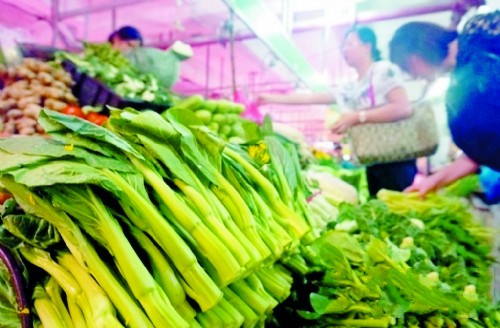 广东中山：持续暴雨致叶菜价格普涨