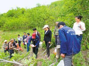 蓝田农民荒山种核桃年入80万