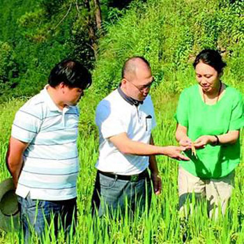 大学体育女教授 深山种出胭脂稻