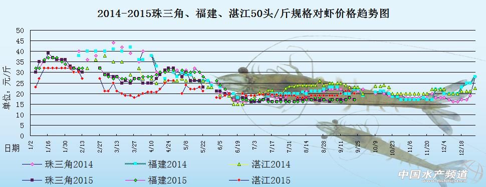 对虾塘边价：市民消费缩减 短期虾价波动不定