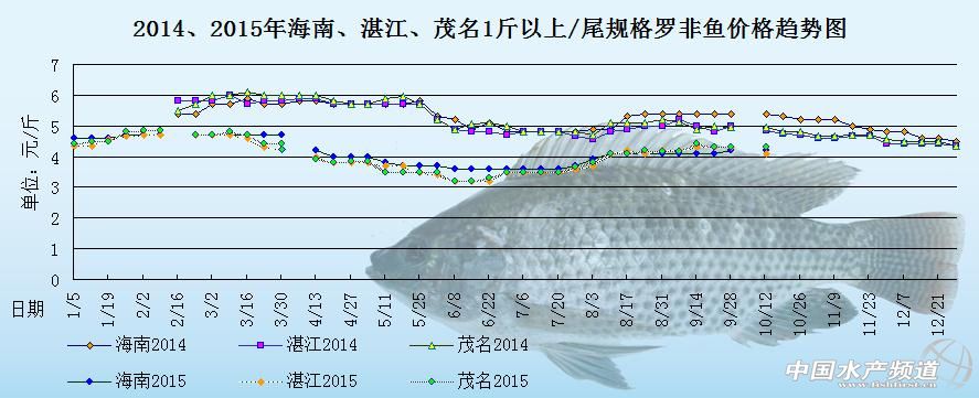 罗非鱼价格周报：销量差 短期鱼价上涨难度大