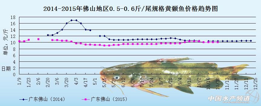 黄颡鱼价格周报：市场消费平淡 各地鱼价趋稳