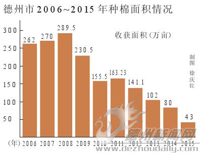 “产棉大市”面临“失棉” 山东德州种棉面积十年减少200万亩