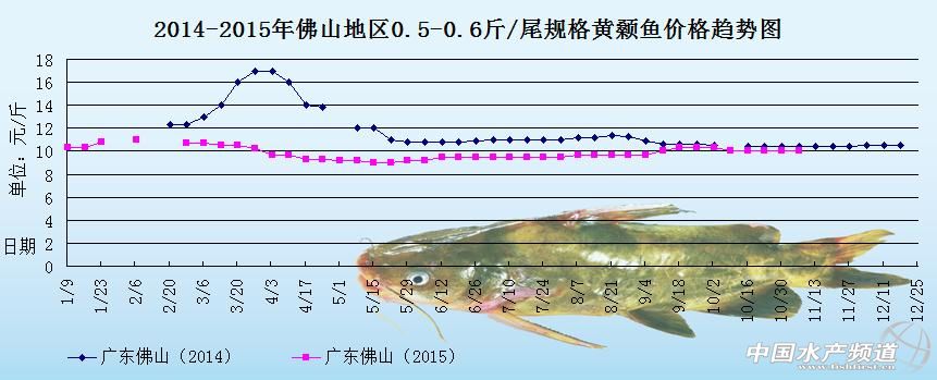 黄颡鱼价格周报：需求一般 鱼价上涨空间小