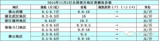 市场需求动力一般 黄颡鱼价格上涨空间狭小