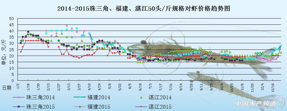 对虾塘边价：货源渐少 虾价稳定运行中