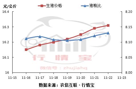 降温带动猪肉消费，本周猪价有盼头儿！