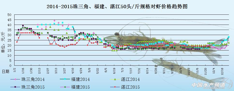 对虾价格周报：市场销量差 虾价稳中下行