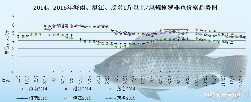 罗非鱼价格周报：供应难降需求下滑 行情月内难有起色