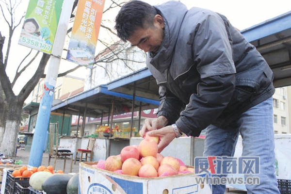 山东文登：苹果丰产价格下跌 不少果农选择冷贮观望