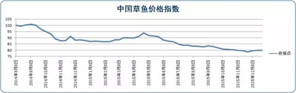 本周全国草鱼价格涨跌互现：湖北涨价珠三角微跌