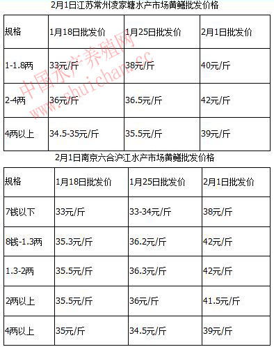 多因素支撑黄鳝收购价格突破40块 春节跌价可能性很小