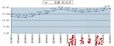 广东：今年生猪价格或全年在高位运行