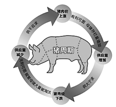 猪肉价格突破10元/斤历史大关 高点或在7月