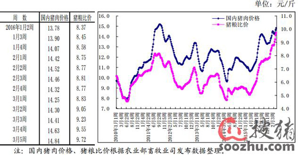 农业部：三季度猪价将会继续上涨 或创价格新高