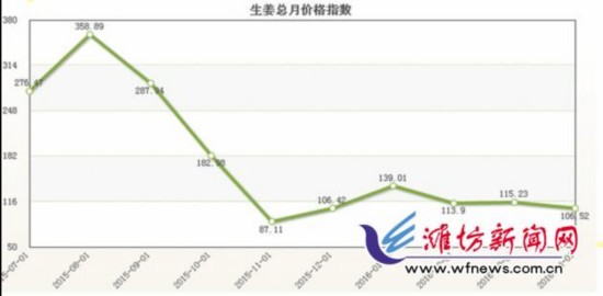 山东昌邑：生姜价格落到四年来的低点 姜农几乎赚不到钱