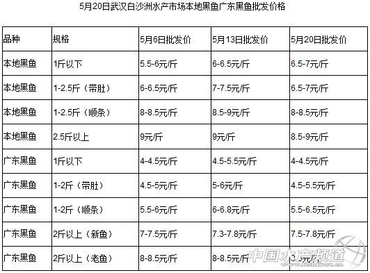 黑鱼市场有所回暖