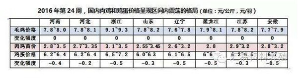 又到6月“跌价季” 蛋鸡存栏上升给短期蛋价“施压”