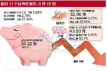 山东烟台生猪价格结束6个月连涨 猪肉均价每公斤32.96元