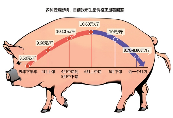 黑龙江大庆生猪价格连续5周向下走 和六月中旬比每斤差1.5元