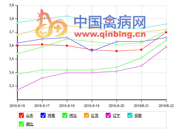 8月第三周鸡蛋行情高位运行