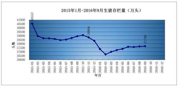 生猪价格雾里看花，养猪行情水中望月