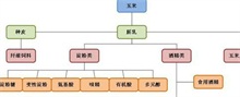 玉米深加工