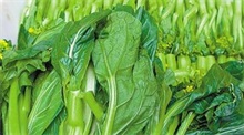 风后捱贵菜 菜心料每斤18元