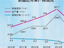 新疆棉花今年减产近两成