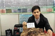 红薯王 单株红薯80公斤
