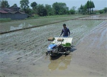 重视降雨问题 加强南方地区早稻育插秧管理