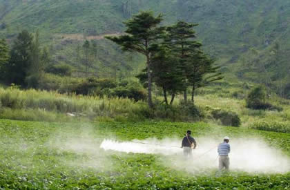 夏季使用农药要注意哪些问题？